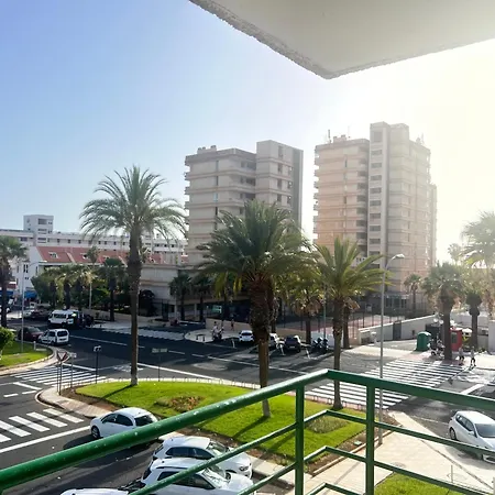 The Cozy Palm Apartamento *