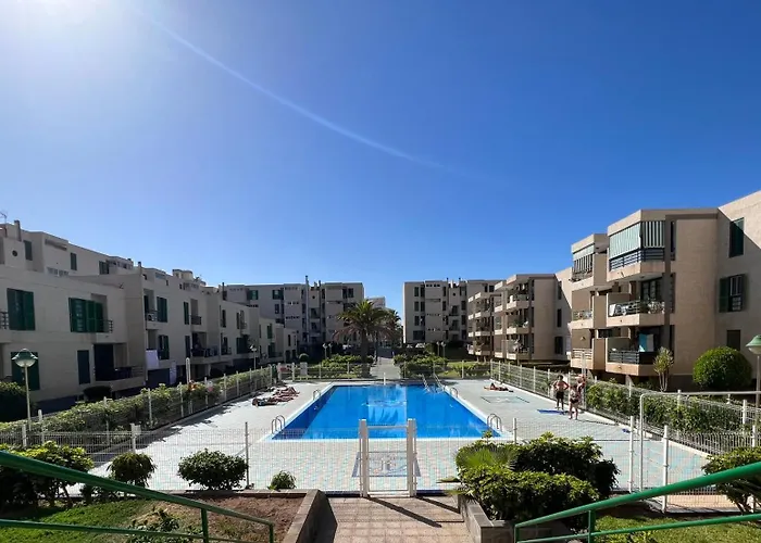 The Cozy Palm * Playa de las Americas (Tenerife)