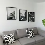 The Cozy Palm